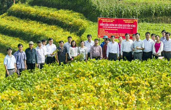 Làm rõ thông tin về việc u xơ tăng nhanh do sản phẩm từ đậu nành